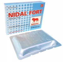 NIDAL FORT